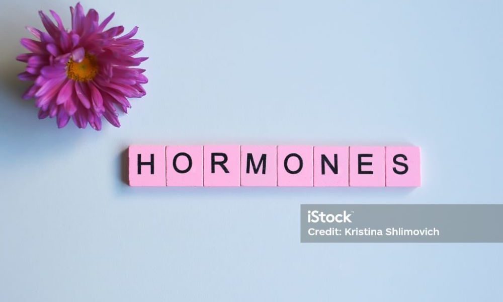 「HORMONES]文字